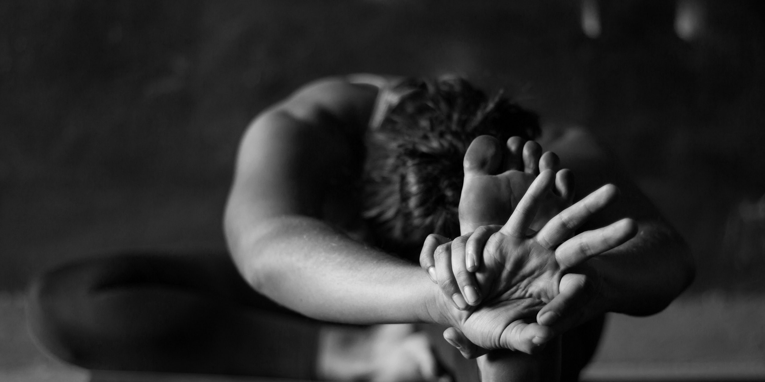 leela_homepage_stripe_background2